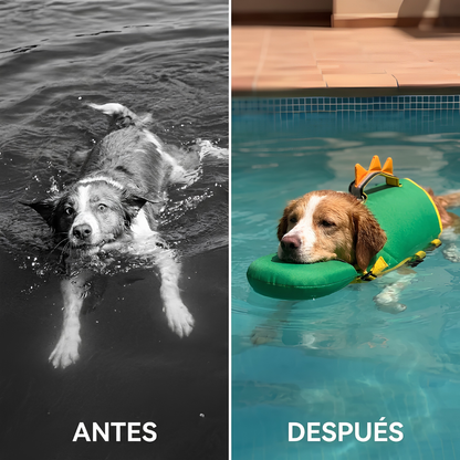 Flotador Canino